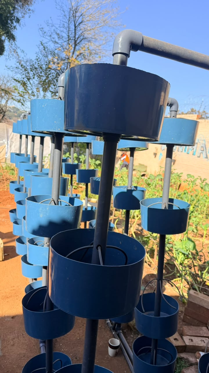 Community Agriculture Initiatives